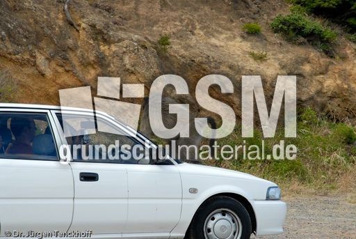 Tschakma Pavian (21 von 48).jpg